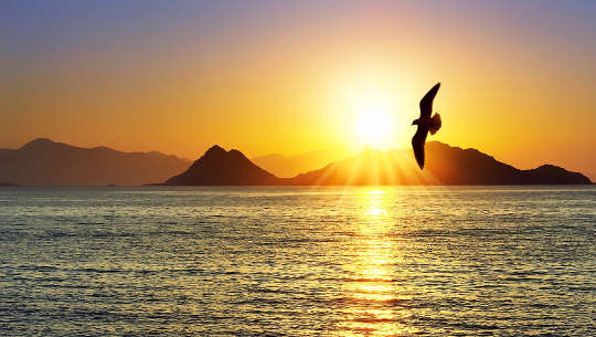 Business, God, and Magic: We Are All Magicians Business, God, and Magic: We Are All Magicians